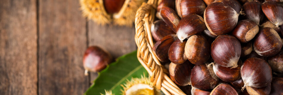 RACCOLTA CASTAGNE